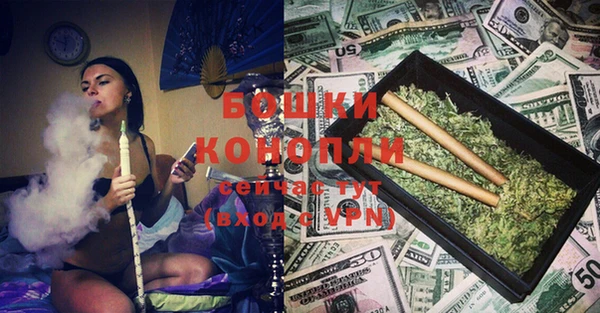 индика Апатиты