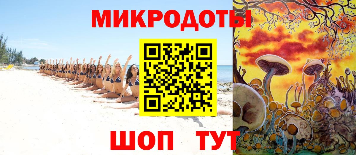 Псилоцибиновые грибы прущие грибы  Псилоцибиновые грибы мицелий  Выборг 